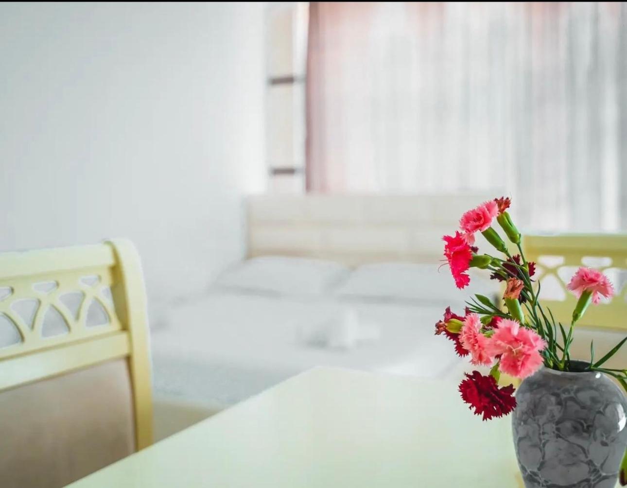 Hotel Kaci Velipoja Kültér fotó